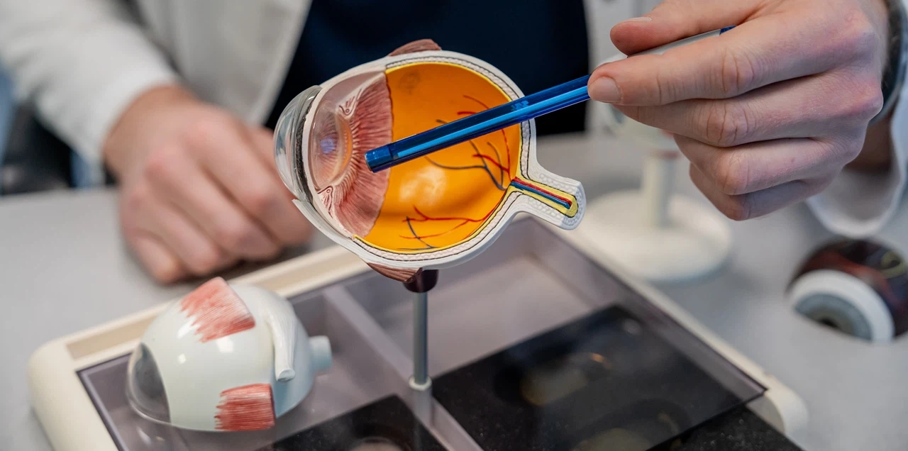 Классификация дистрофии роговицы