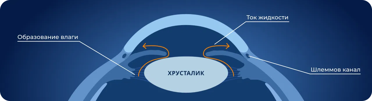 Хрусталик