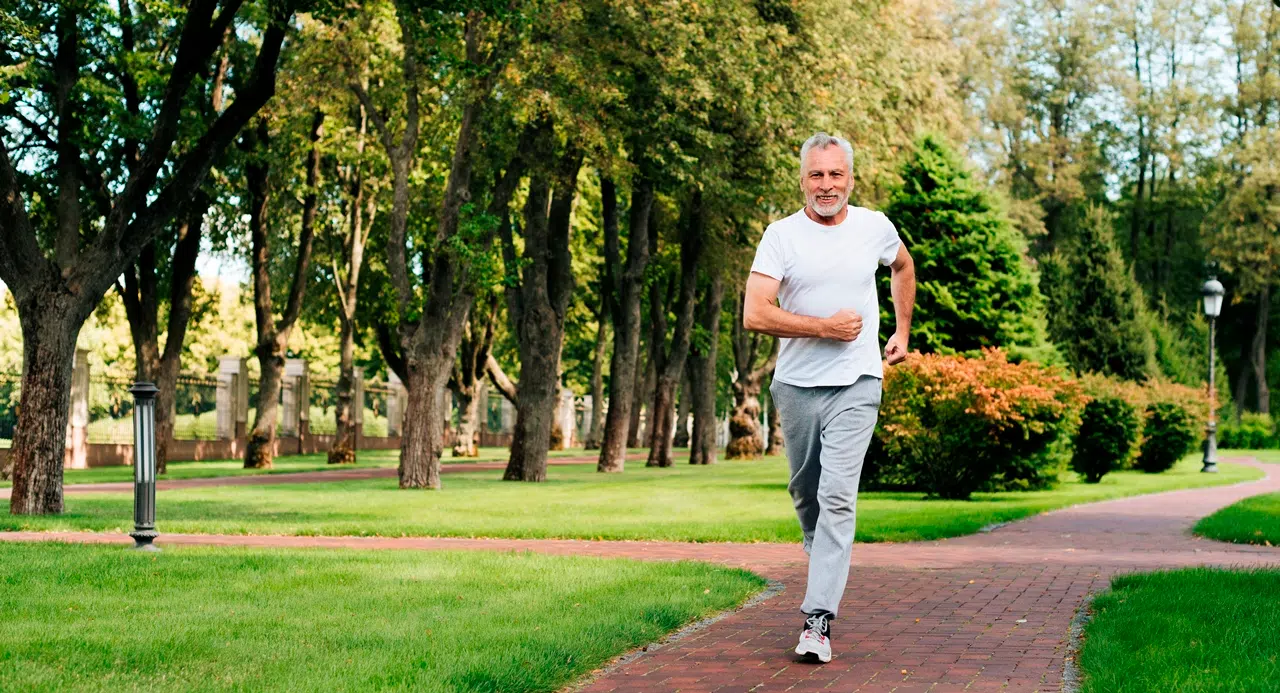 Профилактика ангиосклероза сетчатки