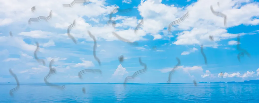 Симптомы ЗОСТ