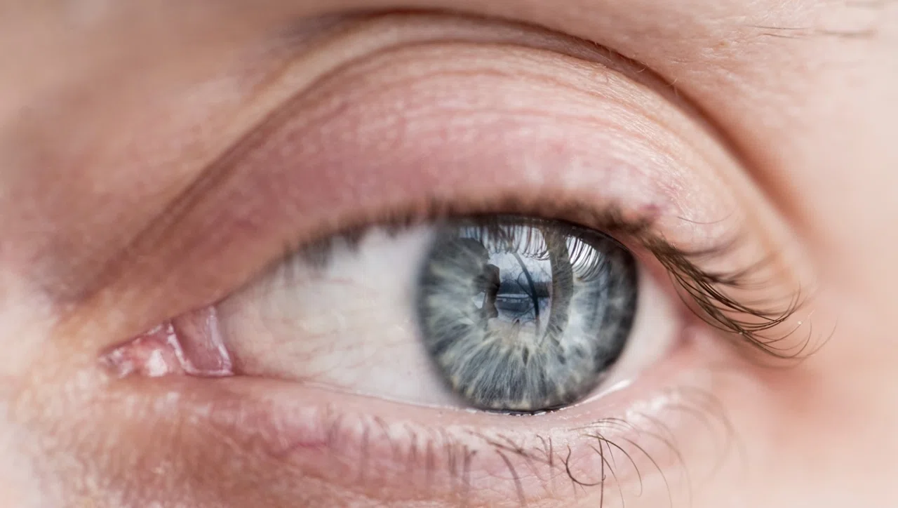 Стекловидное тело